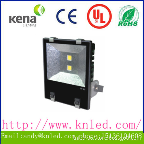IP65 100w 120w Meanwell driver led flood light